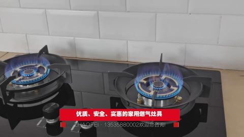 华太厨具B605厨房燃气灶具